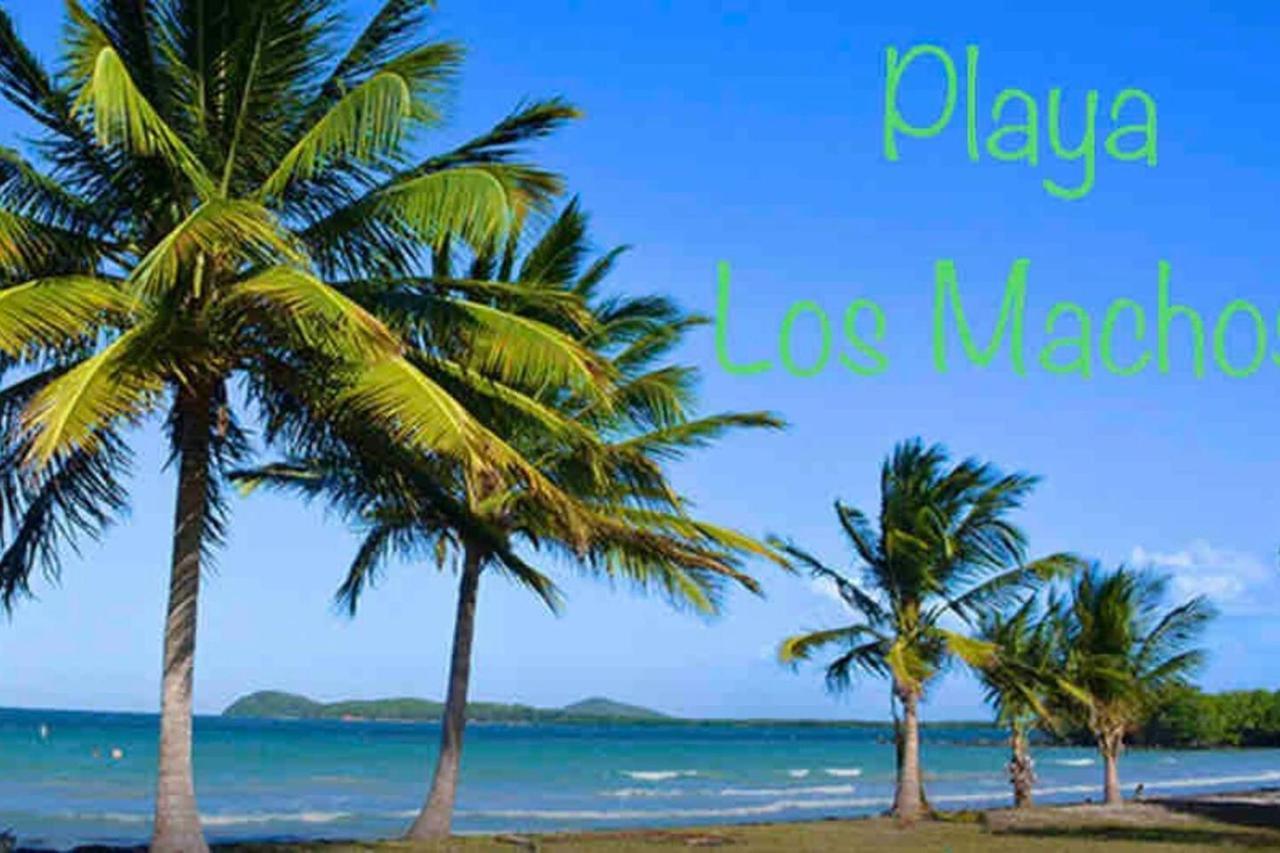 Ocean & Mountains View, Marina, Ferry, Vista Mar, Costa Esmeralda Ceiba Exterior photo